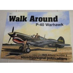 Walk around P-40 Warhawk...